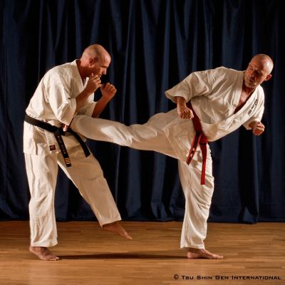 Karate Ushiro Geri